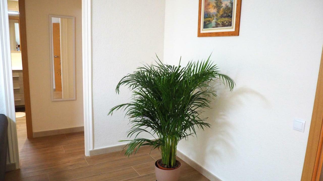 Apartamento en Ani Alicante Exteriér fotografie